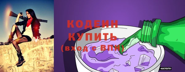 шишки Богородск