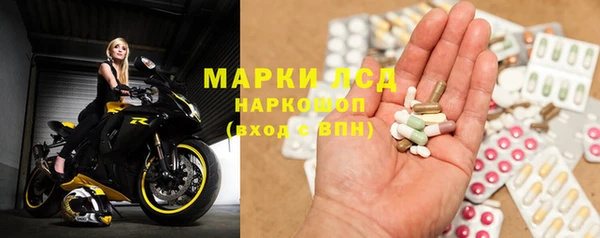 молекула духа Богданович