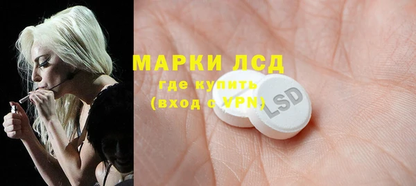 шишки Богородск