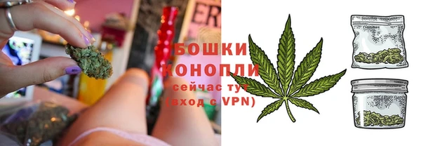 шишки Богородск