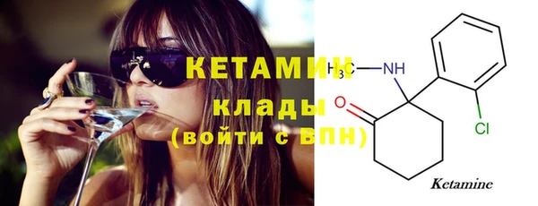 молекула духа Богданович
