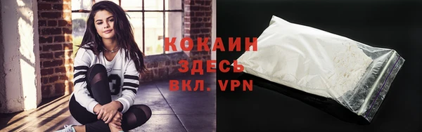 шишки Богородск