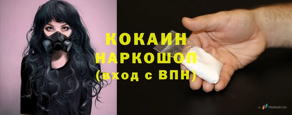 молекула духа Богданович
