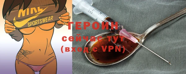 молекула духа Богданович