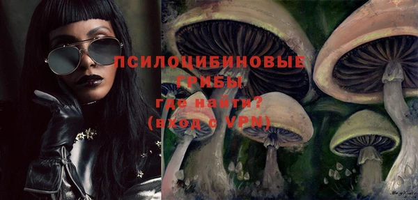 молекула духа Богданович