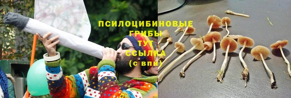 шишки Богородск