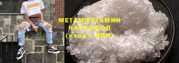 молекула духа Богданович